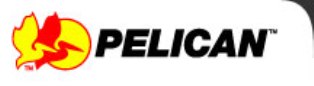 Pelican