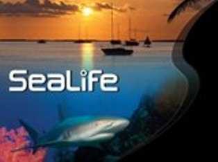 Sea Life