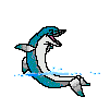 Animated Dolphin